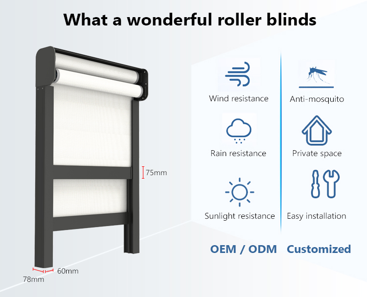 double layer roller blind