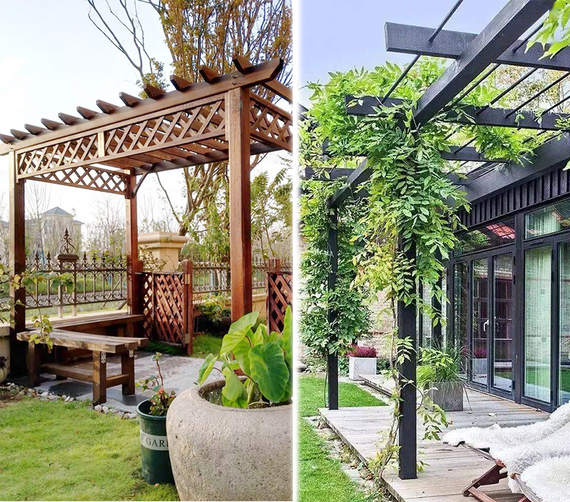 Climbing Plants Pergola